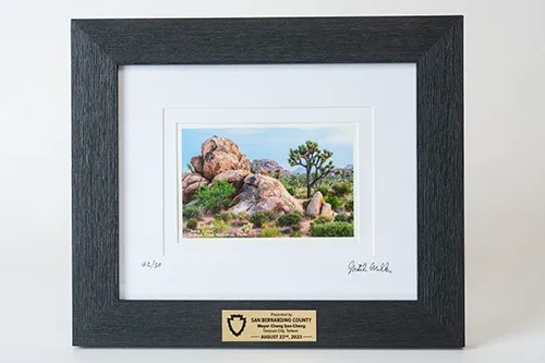 約書亞樹國家公園照片