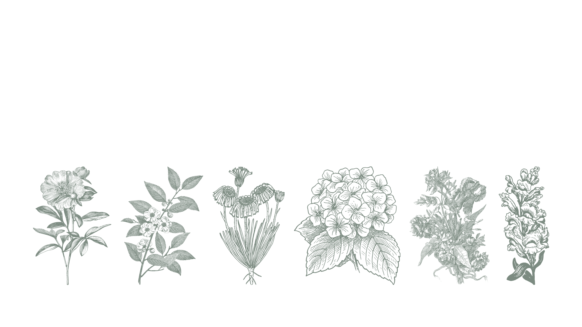 Traditional Korean crafts – celadon ware-圖片